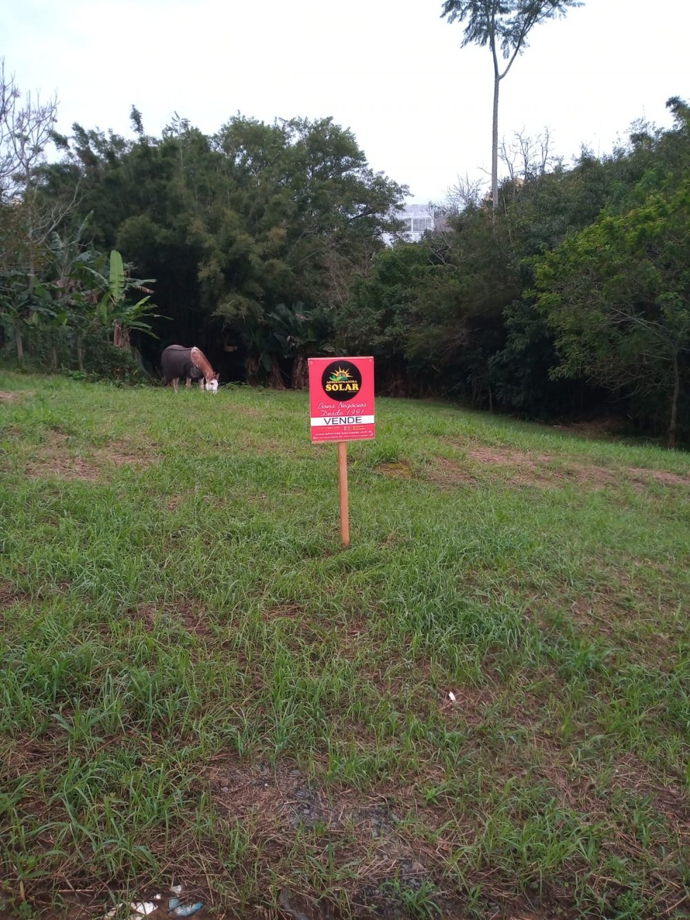 Terreno - Venda - Cidade Alta - Santo Antonio da Patrulha - RS